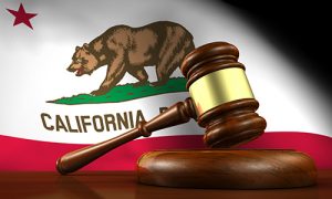 California Stafe flag (bear) in the background with a gavel in front